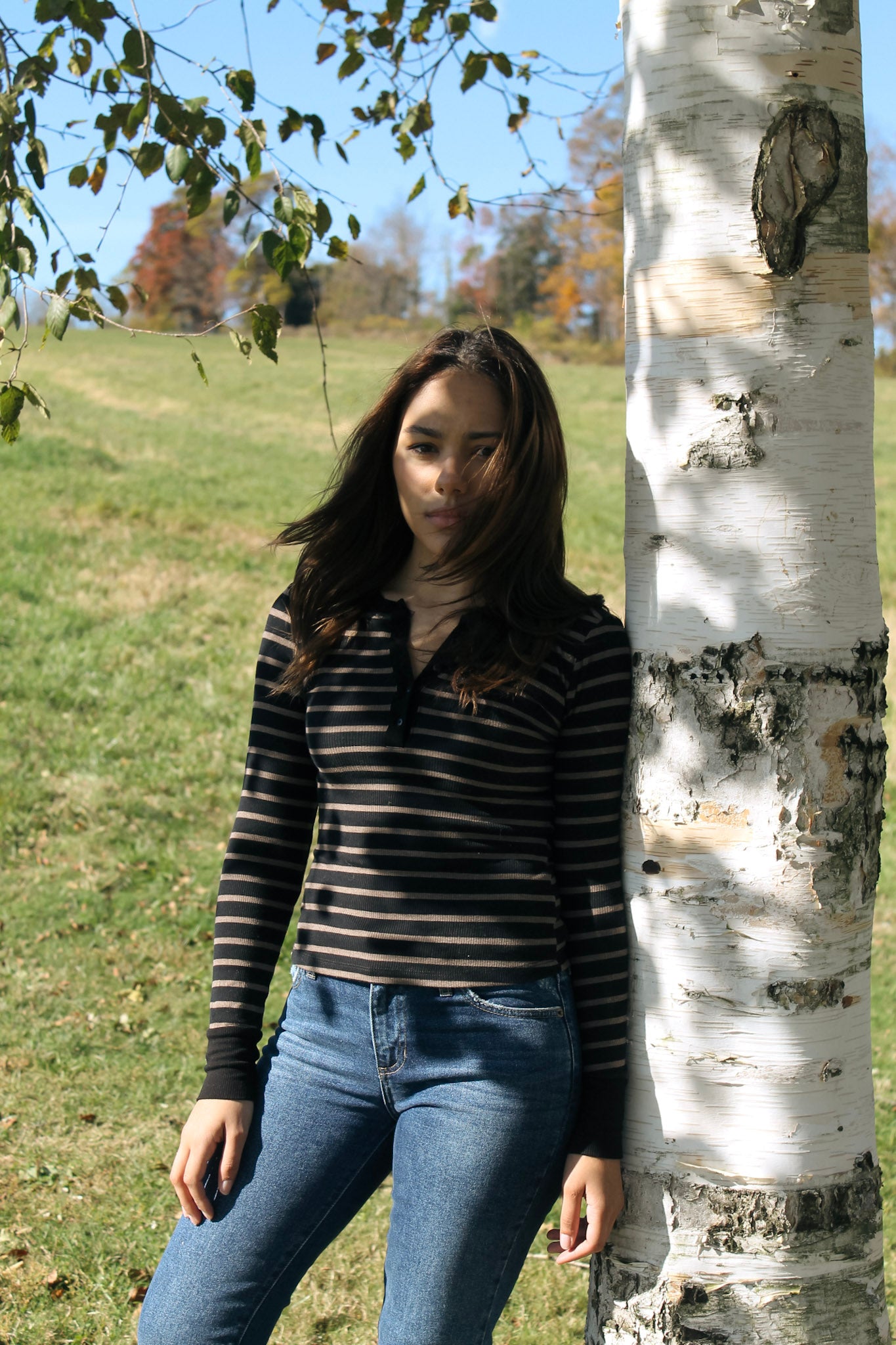 Striped Henley In Brown