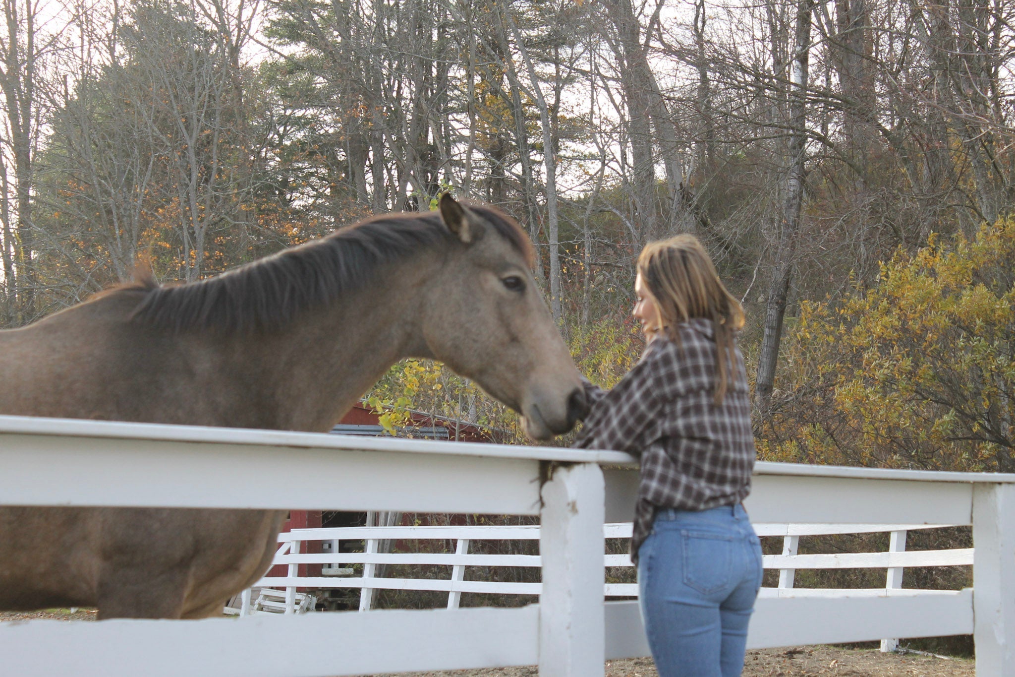 From the Founder - Entry 01