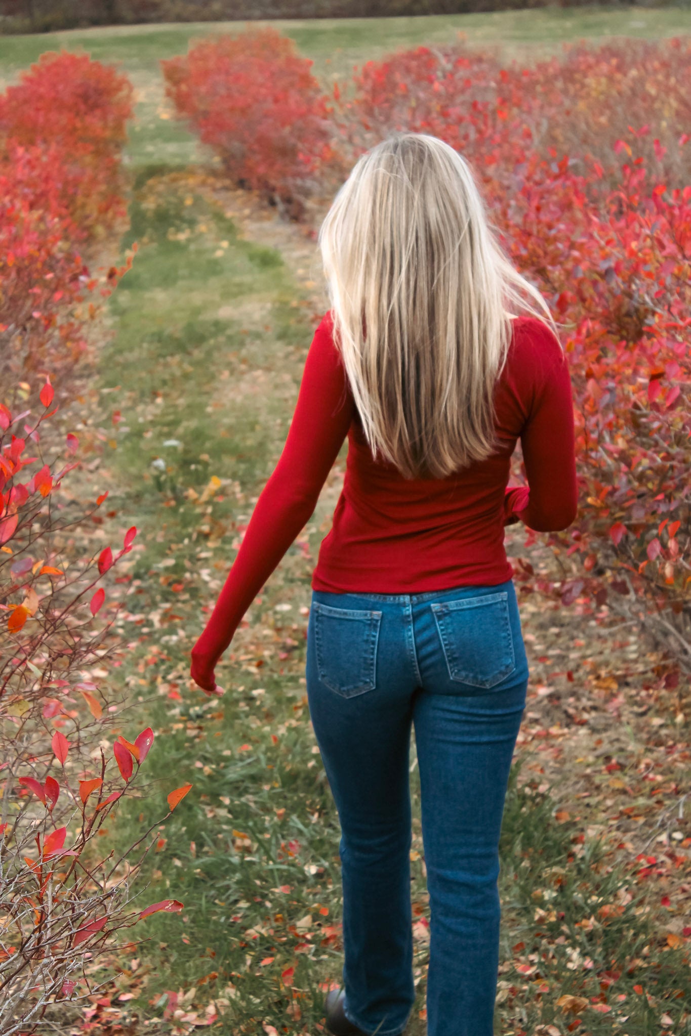 The Low-Rise Bootcut Jean