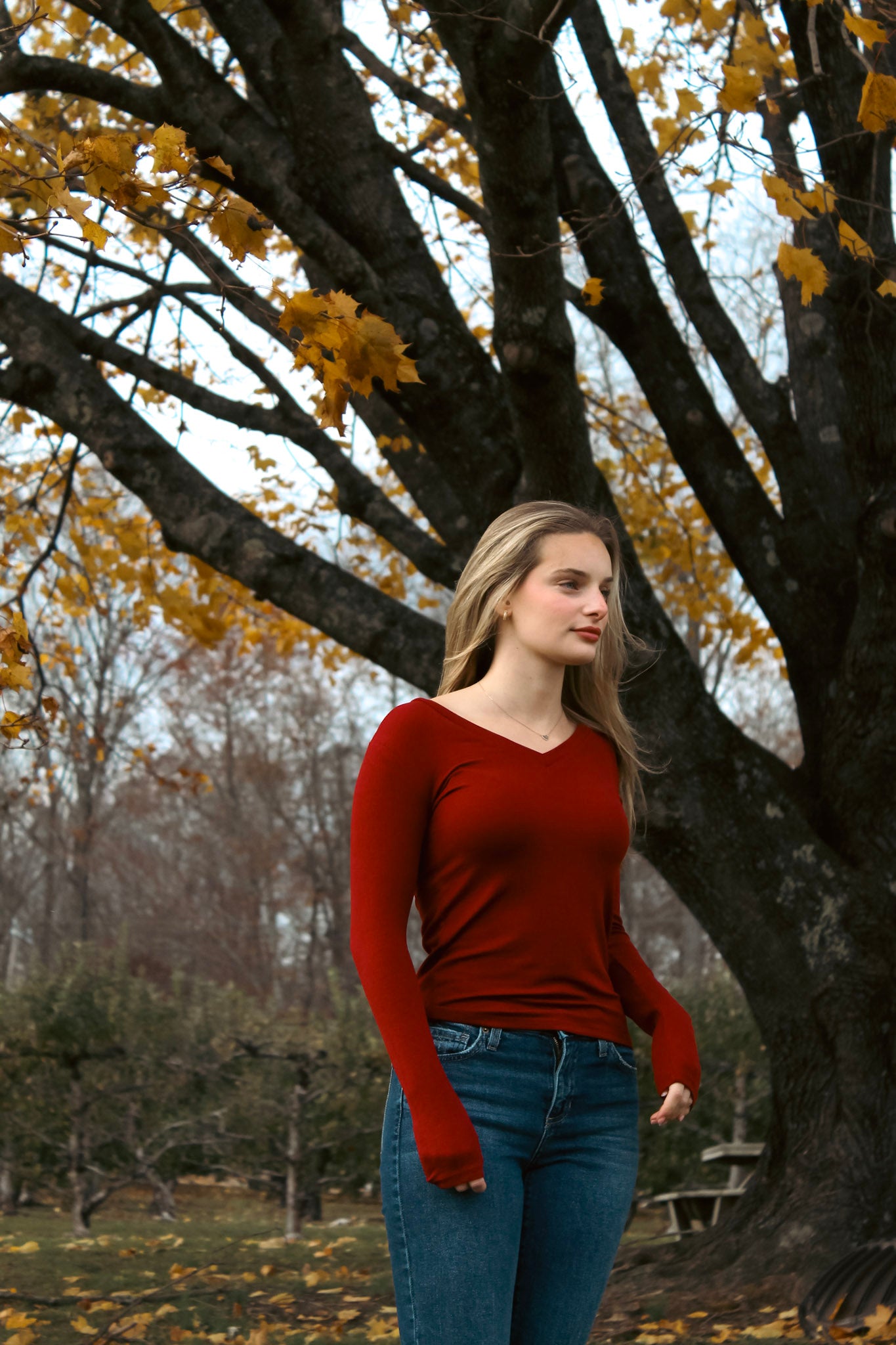 Low-Rise Bootcut Jeans