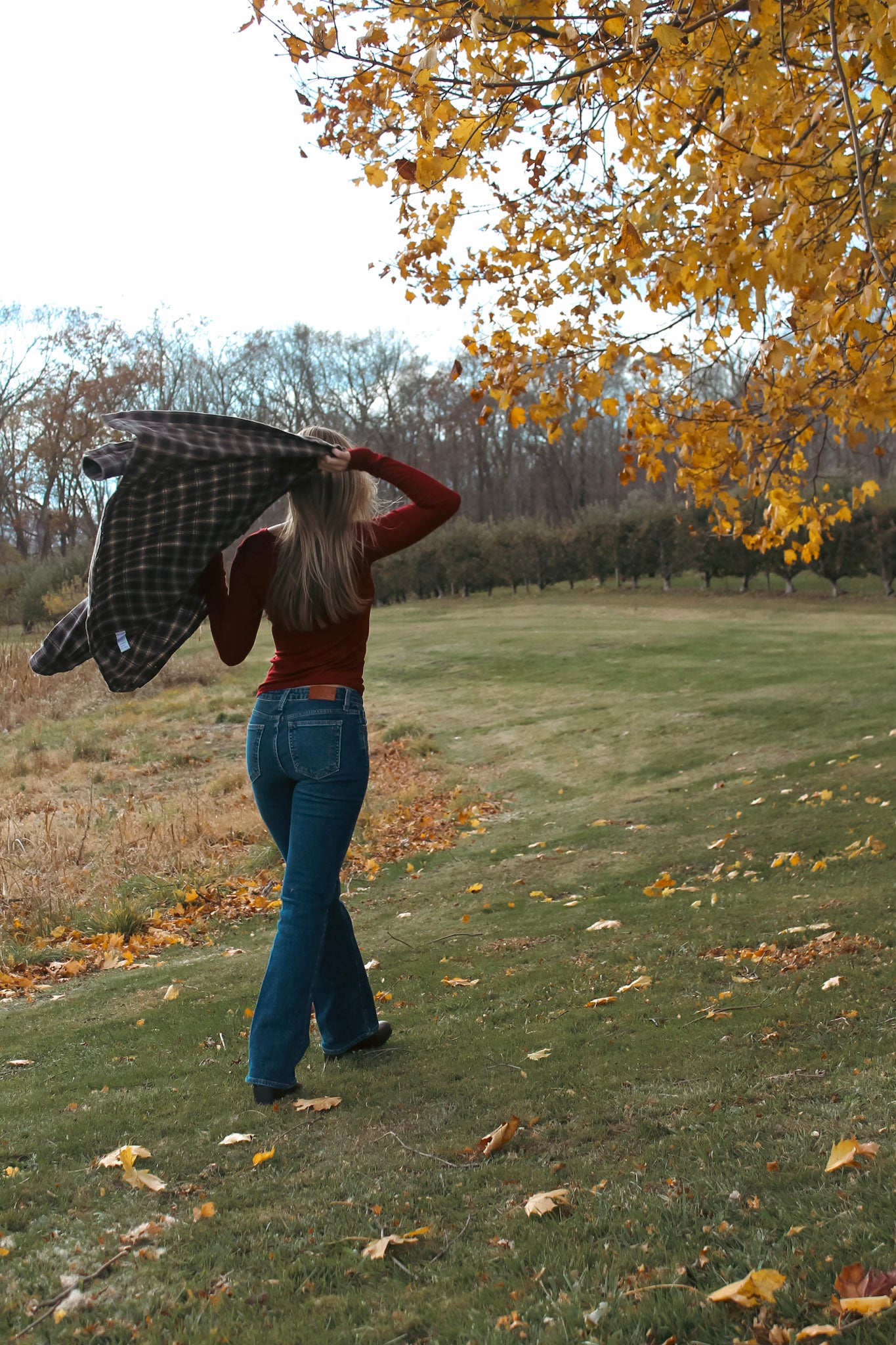 Low-Rise Bootcut Jeans